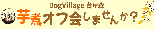 芋煮オフ会しませんか？